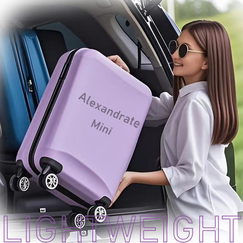 Alexandrite Mini Thiết bị làm đẹp di động Điện năng chạm thông minh Phần Bison Light And Easy 755nm Mini Machine Alexandrite 755nm Laser Hair Removal