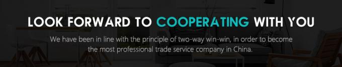 Alexandrite Mini Thiết bị làm đẹp di động Điện năng chạm thông minh Phần Bison Light And Easy 755nm Mini Machine Alexandrite 755nm Laser Hair Removal 11